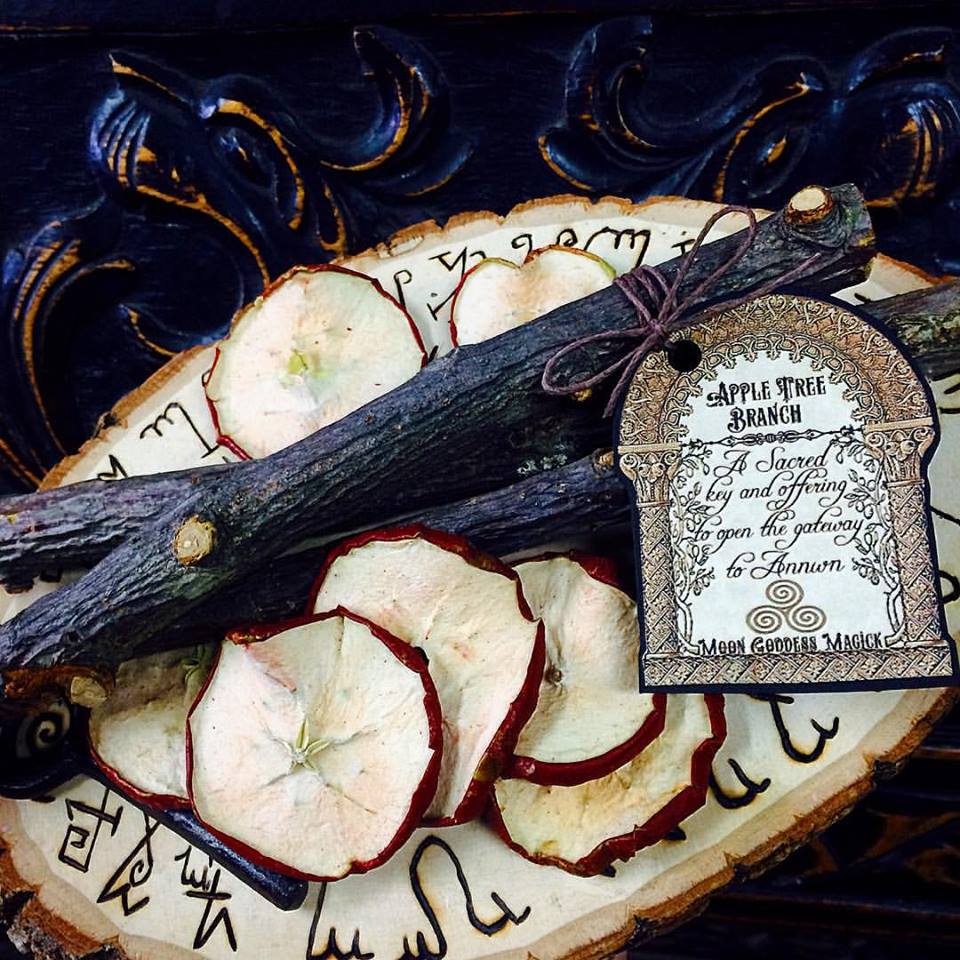 Apple Tree Branch A Simple yet powerful Talisman~ Key to Annwn~ Celtic Otherworld~ Samhain Magick ~ Ritual Object~ Limited Offering~ - Moon Goddess Magick Apothecary
