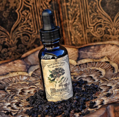 Elderberry Tincture~ Organic Herbal Extract~ Immune Boosting~ Cold and Flu Folk Remedy~ Elderberry Magick~ 1oz Drpper Bottle - Moon Goddess Magick Apothecary