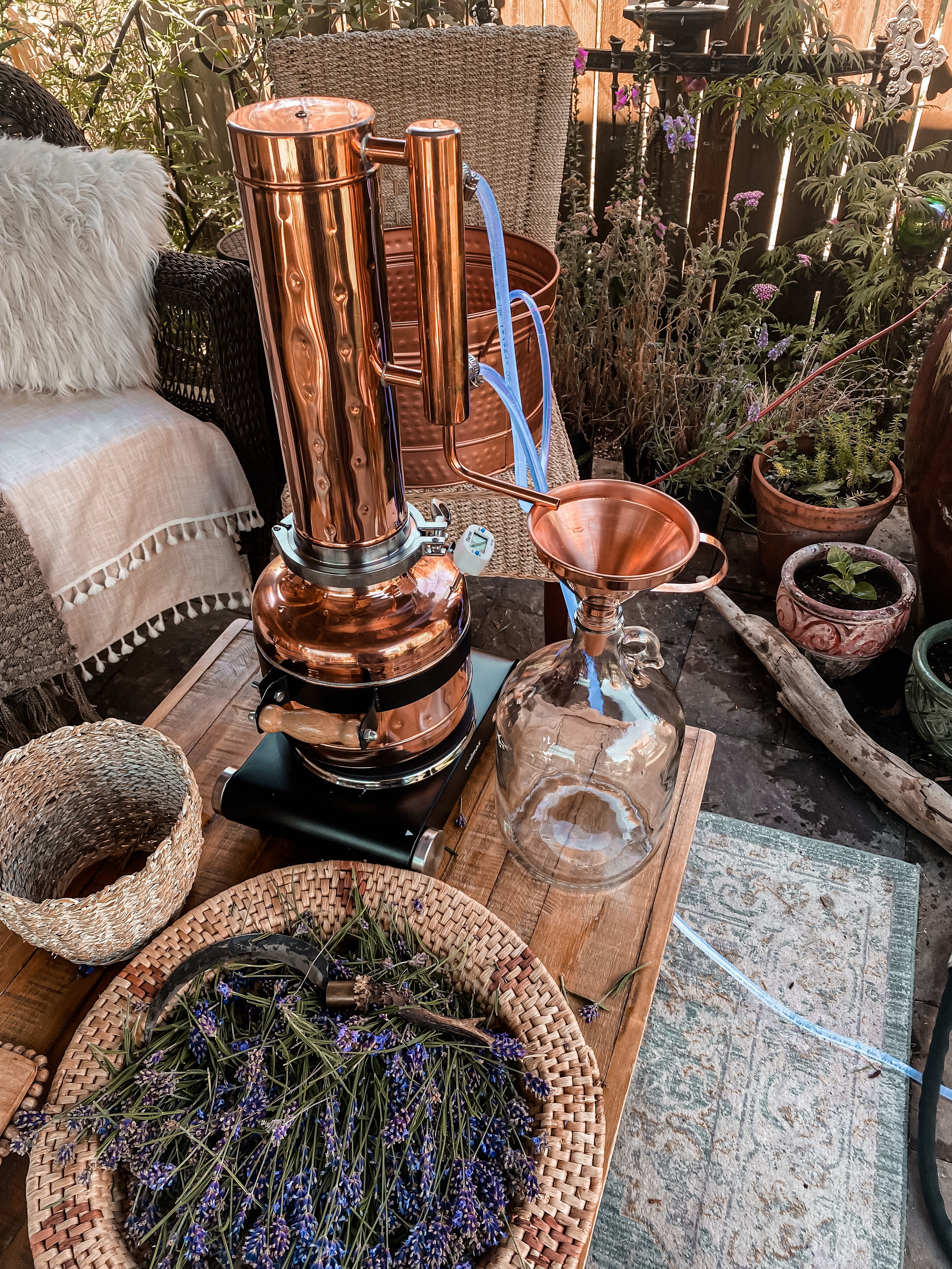 Cast Out Negativity /// Botanical Warding Mist // Previously Negativity Be Gone // 2oz Organic