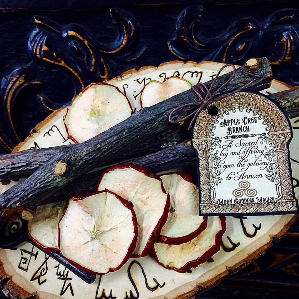 Apple Tree Branch A Simple yet powerful Talisman~ Key to Annwn~ Celtic Otherworld~ Samhain Magick ~ Ritual Object~ Limited Offering~ - Moon Goddess Magick Apothecary 