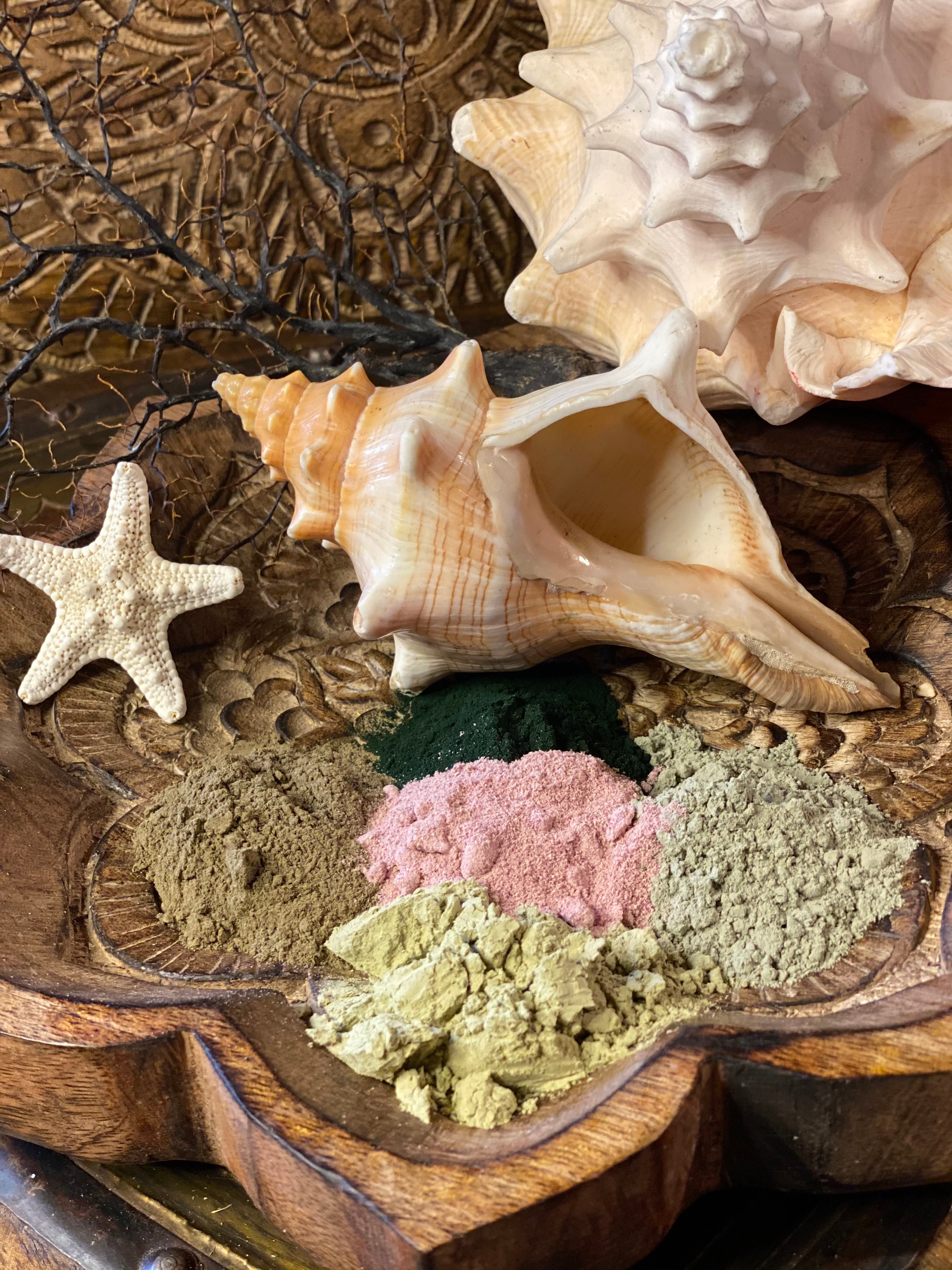 Sea Witch Organic Clay Mask // Land + Sea Nourishing Face Mask // Mineral Rich 3.4oz // Organic Beauty Ritual